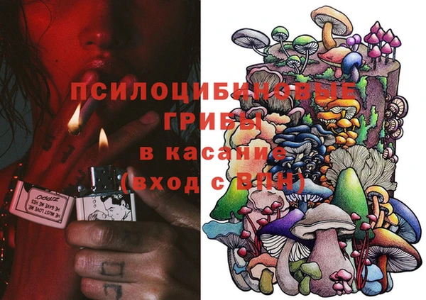 дурь Осинники
