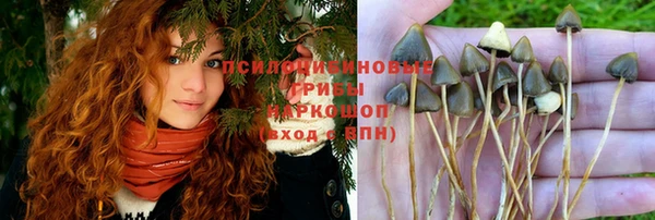 дурь Осинники