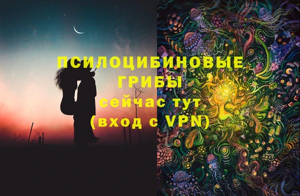 дурь Осинники