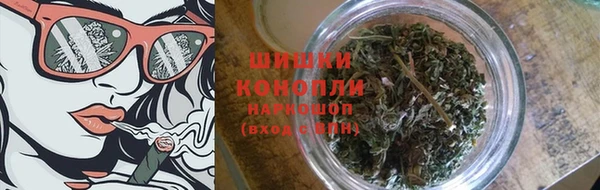 дурь Осинники